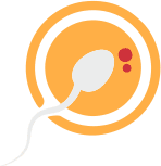 Enhanced fertility