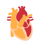 Reduced cardiovascular risk
